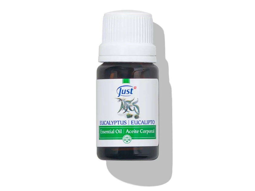 Eucalipto