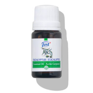 Eucalipto